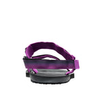 #color_purple